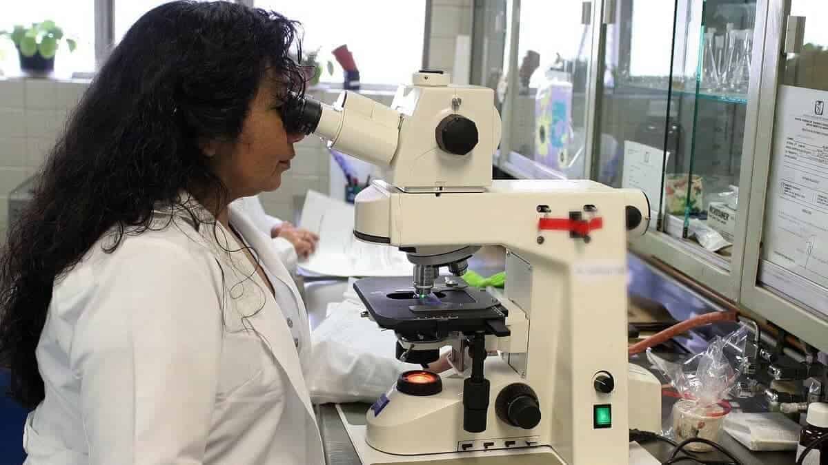 mesothelioma biopsy